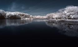 Featured image of post 瞎折腾