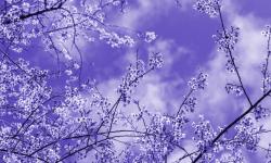 Featured image of post 将Godaddy域名转移到Cloudflare