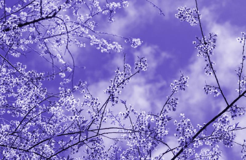 Featured image of post 将Godaddy域名转移到Cloudflare